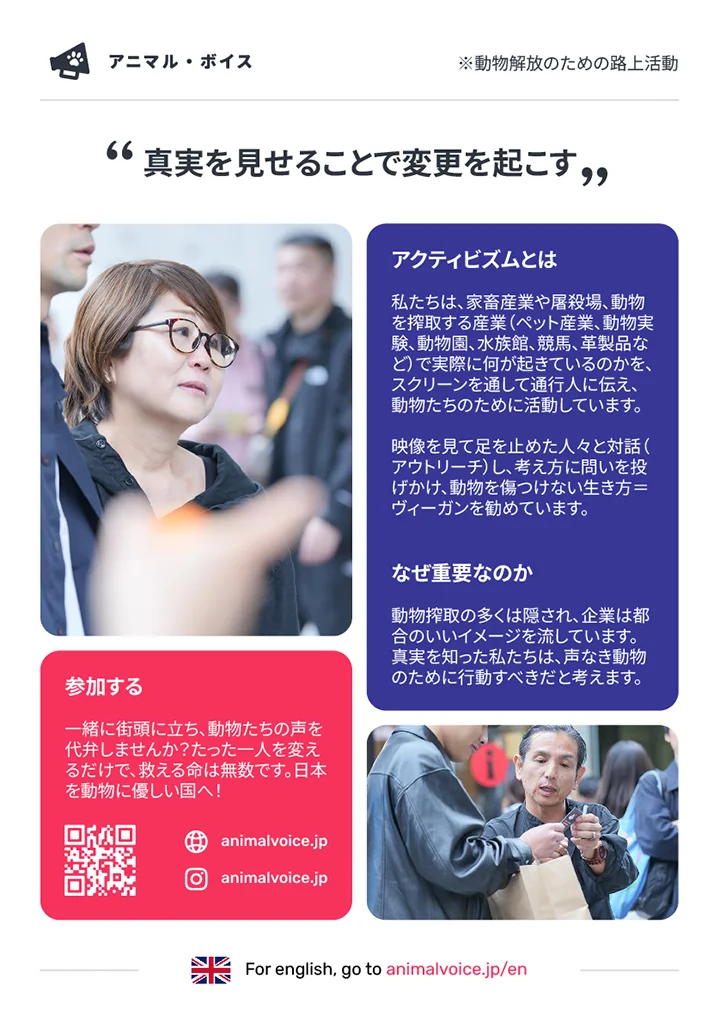 Animal Voice recruitment flyer back